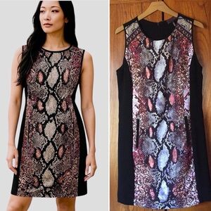 Hale Bob Shift Dress, Sleeveless Midi Snakeskin Print Black Brown Earth Tone